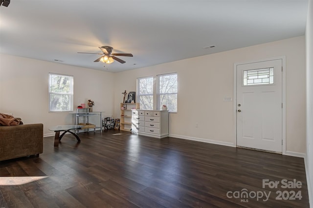 foyer entrance with dark hardwood / wood-style floors, ceiling fan, and a wealth of natural light