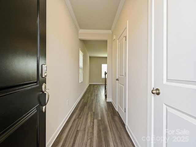 hallway with ornamental molding and dark hardwood / wood-style flooring