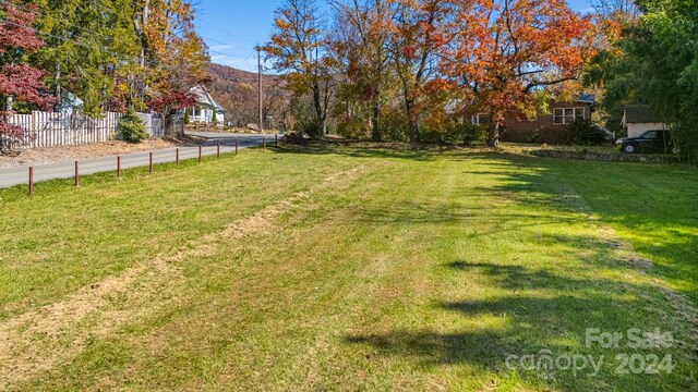 99999 Padgettown Rd, Black Mountain, NC 28711 - photo 3