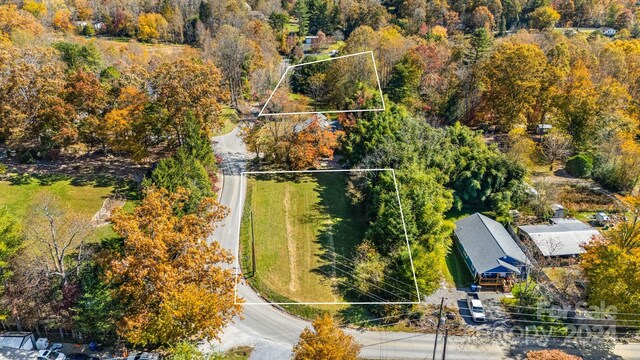 99999 Padgettown Rd, Black Mountain, NC 28711 - photo 6