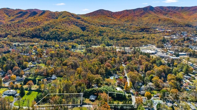 99999 Padgettown Rd, Black Mountain, NC 28711 - photo 8