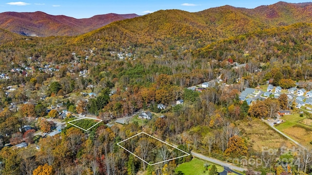 99999 Padgettown Rd, Black Mountain, NC 28711 - photo 9