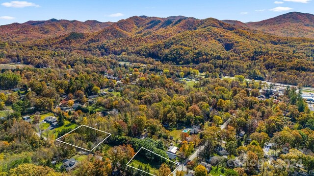 99999 Padgettown Rd, Black Mountain, NC 28711 - photo 10