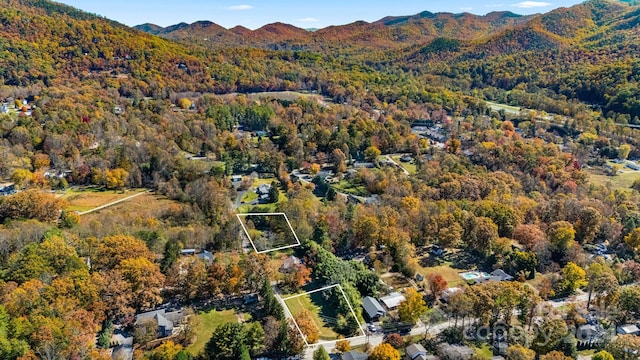 99999 Padgettown Rd, Black Mountain, NC 28711 - photo 11