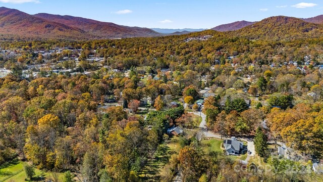 99999 Padgettown Rd, Black Mountain, NC 28711 - photo 13