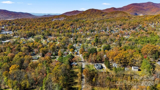 99999 Padgettown Rd, Black Mountain, NC 28711 - photo 14
