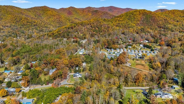 99999 Padgettown Rd, Black Mountain, NC 28711 - photo 16