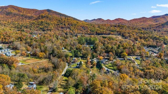 99999 Padgettown Rd, Black Mountain, NC 28711 - photo 17