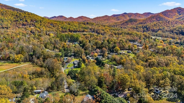 99999 Padgettown Rd, Black Mountain, NC 28711 - photo 18