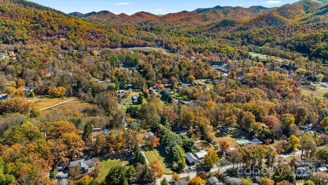 99999 Padgettown Rd, Black Mountain, NC 28711 - photo 19