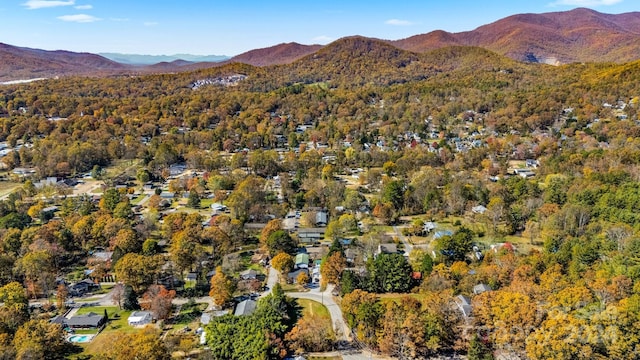 99999 Padgettown Rd, Black Mountain, NC 28711 - photo 20