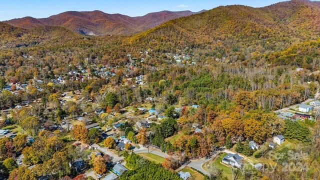 99999 Padgettown Rd, Black Mountain, NC 28711 - photo 21