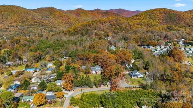 99999 Padgettown Rd, Black Mountain, NC 28711 - photo 22