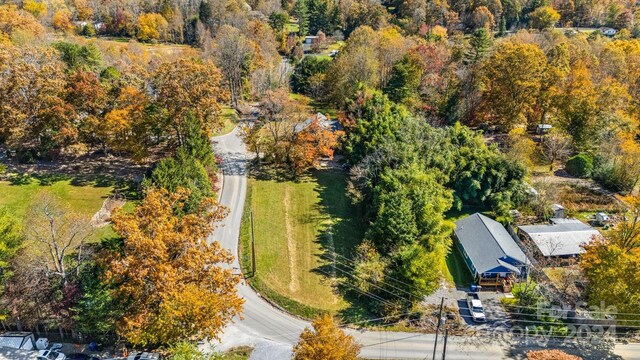 99999 Padgettown Rd, Black Mountain, NC 28711 - photo 25