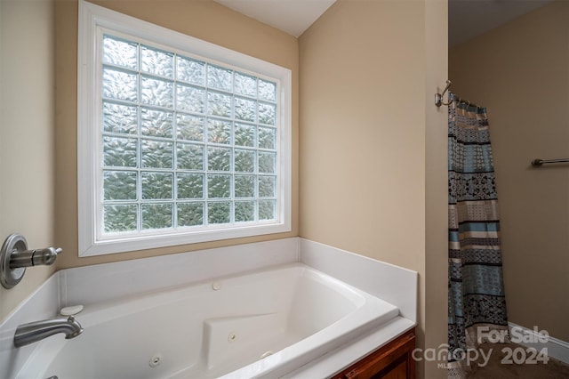 bathroom featuring a washtub