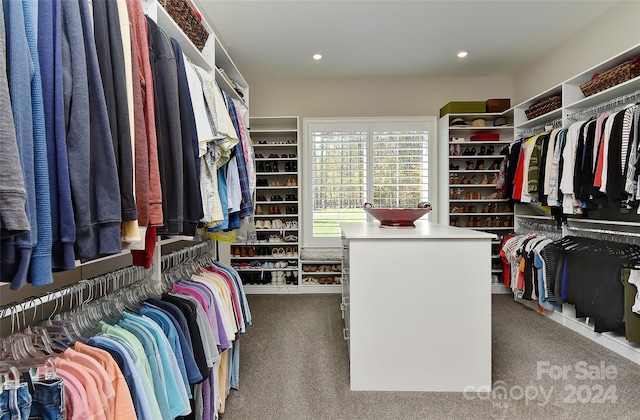 walk in closet with carpet