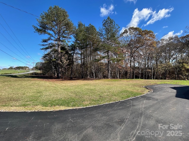3596 Bethany Church Rd, Claremont, NC 28610 - view of green lawn