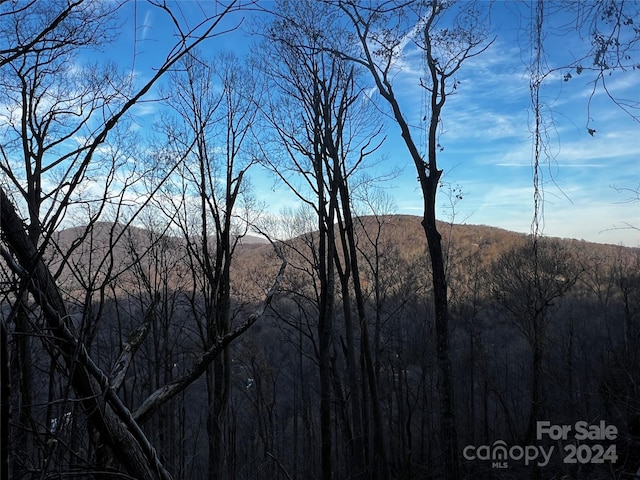 000 Mountain Breeze Trl, Asheville NC, 28803 land for sale