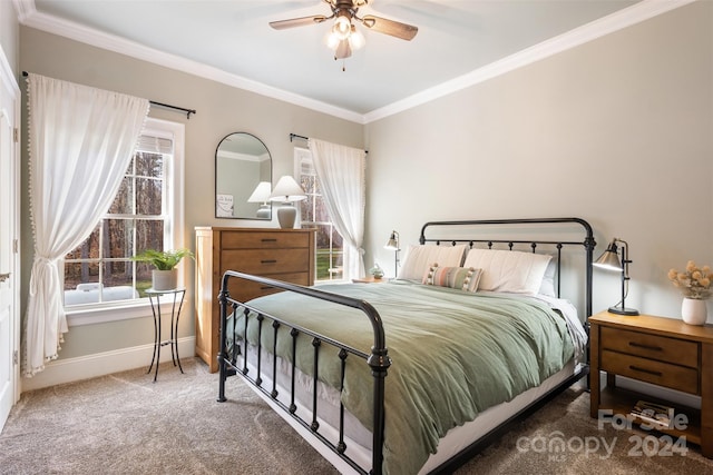 carpeted bedroom featuring ceiling fan and crown molding