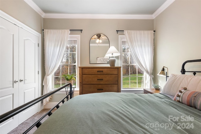 bedroom featuring a closet, ornamental molding, and multiple windows