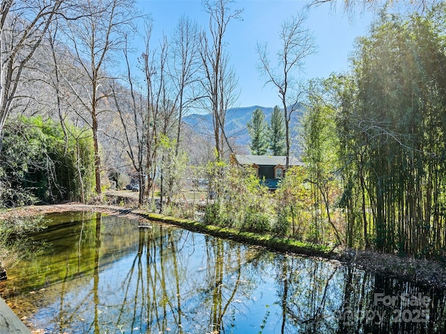 water view featuring a mountain view