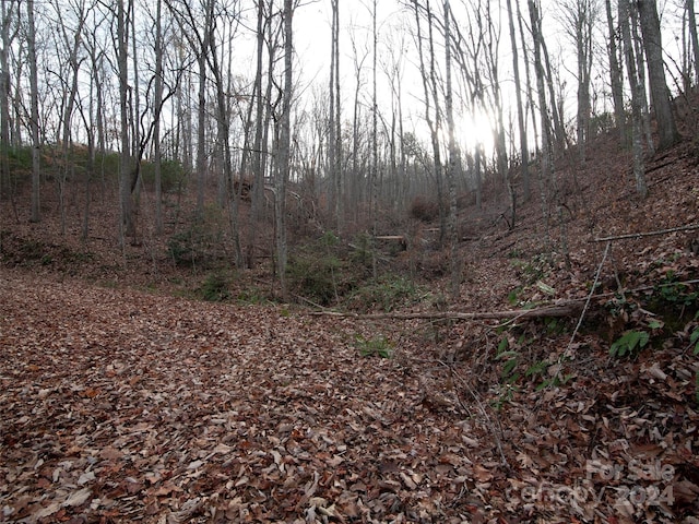 Listing photo 3 for 000 Beacon Rock Ln Lot 211, Waynesville NC 28786