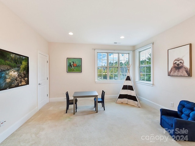 living area featuring light carpet