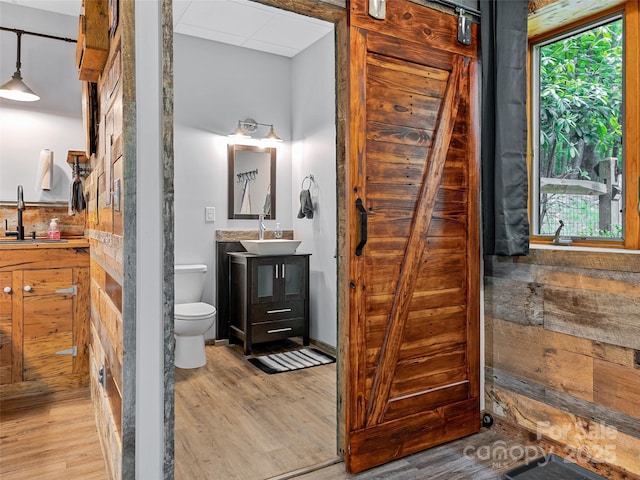 bathroom with vanity, toilet, and wood finished floors