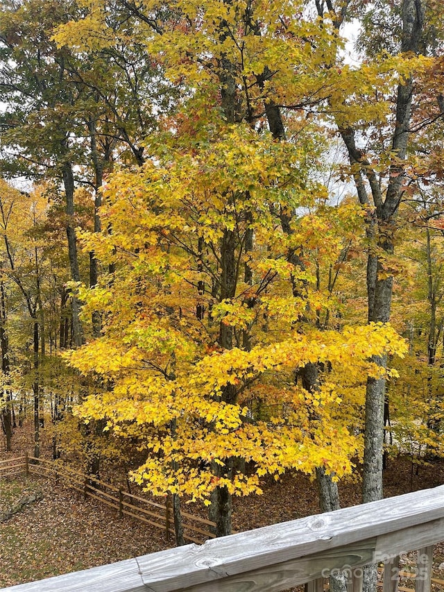 view of yard with a forest view