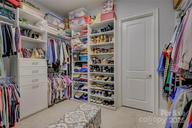 walk in closet with light colored carpet