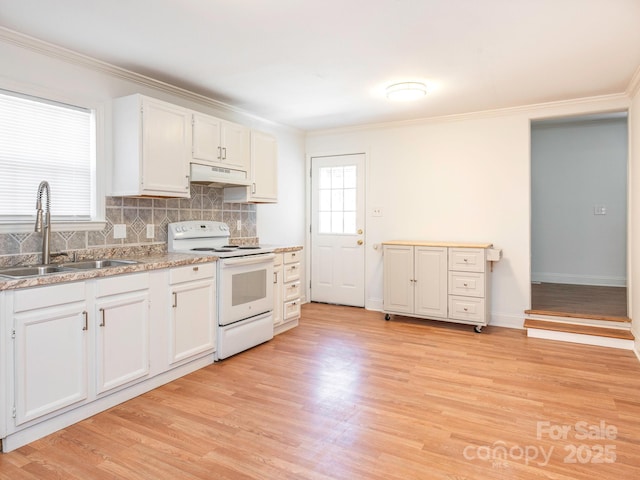 kitchen featuring under cabinet range hood, a sink, electric range, and light wood finished floors