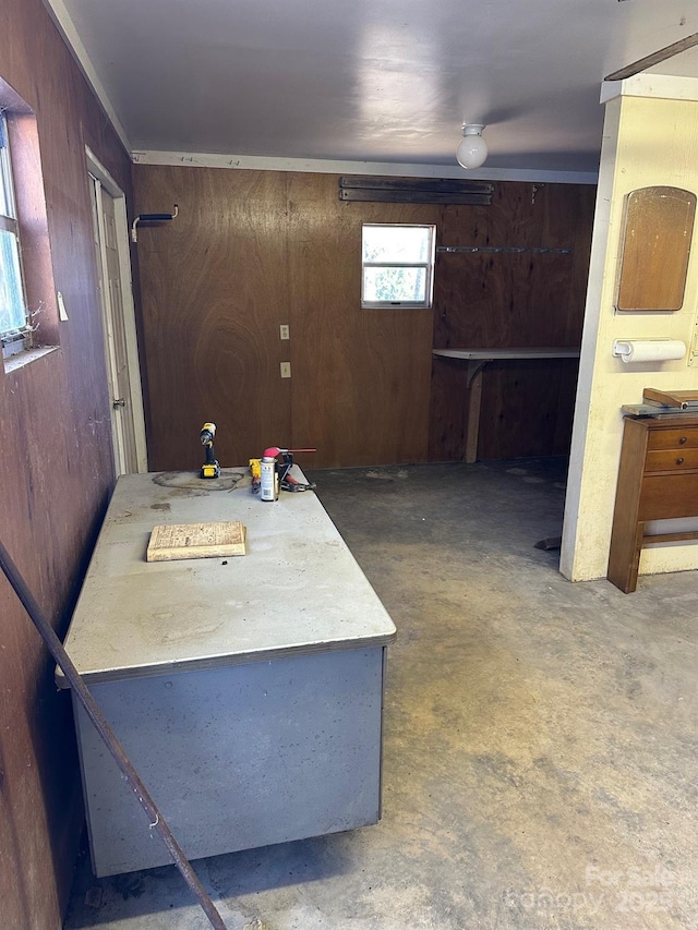 basement with wood walls