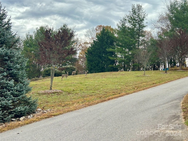 Listing photo 3 for 104 S Lindon Cove Rd, Candler NC 28715