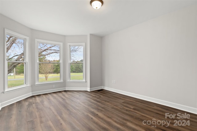 spare room featuring dark hardwood / wood-style floors and plenty of natural light