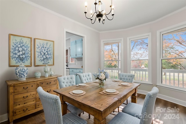 dining area featuring dark hardwood / wood-style floors, a healthy amount of sunlight, and ornamental molding