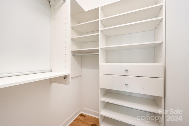 spacious closet with hardwood / wood-style flooring