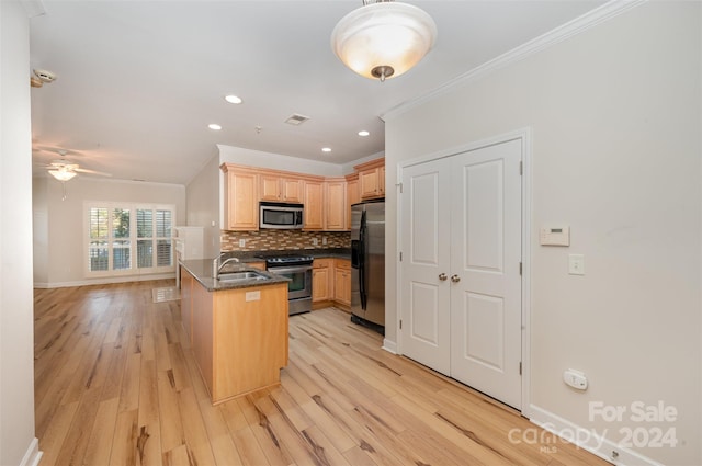 kitchen with light hardwood / wood-style floors, kitchen peninsula, crown molding, and appliances with stainless steel finishes