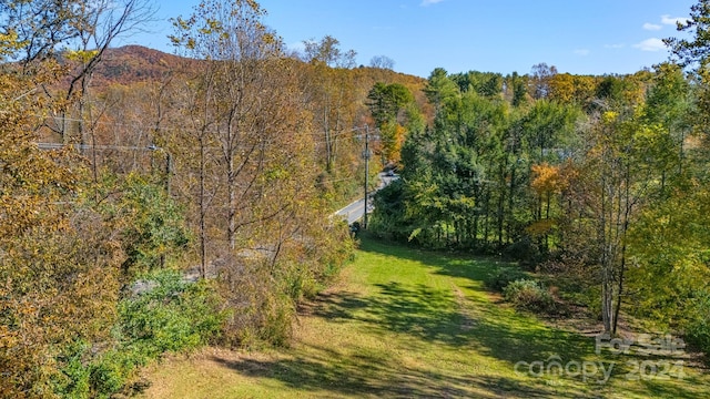 Listing photo 3 for 99999 Avena Rd, Black Mountain NC 28711