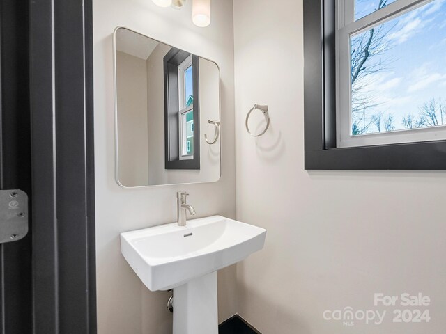 52 Fox Dr, Asheville, NC 28803 - photo 19
