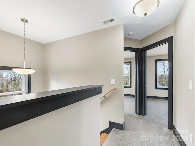 hallway featuring a wealth of natural light and light carpet