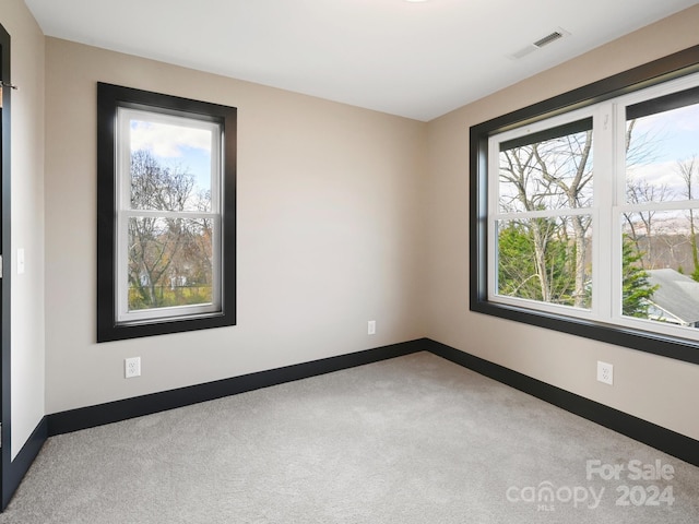 spare room with light carpet and plenty of natural light