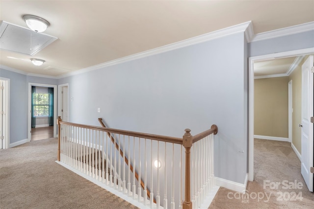 hallway featuring light colored carpet and ornamental molding