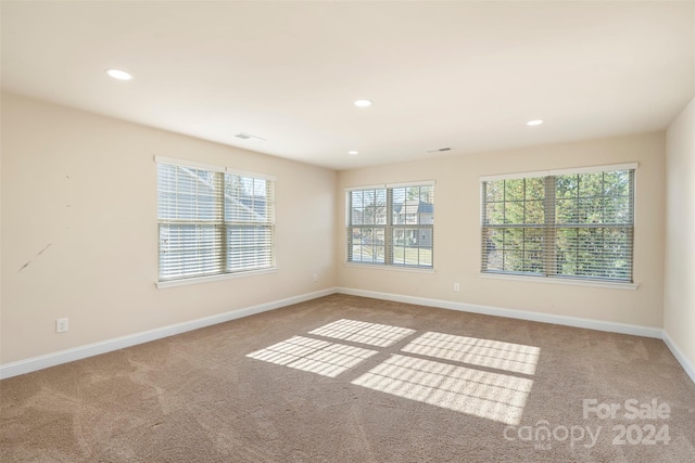 carpeted spare room featuring a healthy amount of sunlight