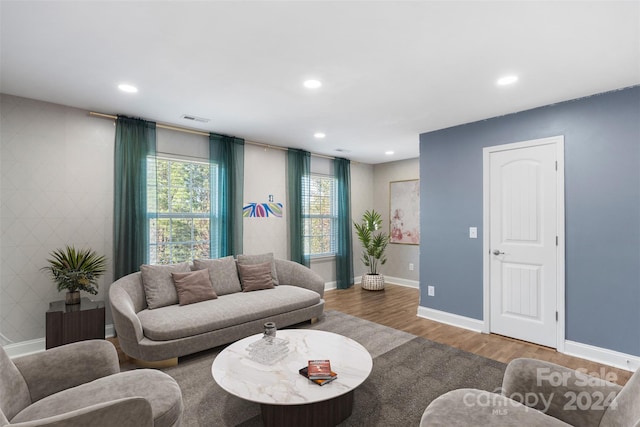 living room featuring hardwood / wood-style floors