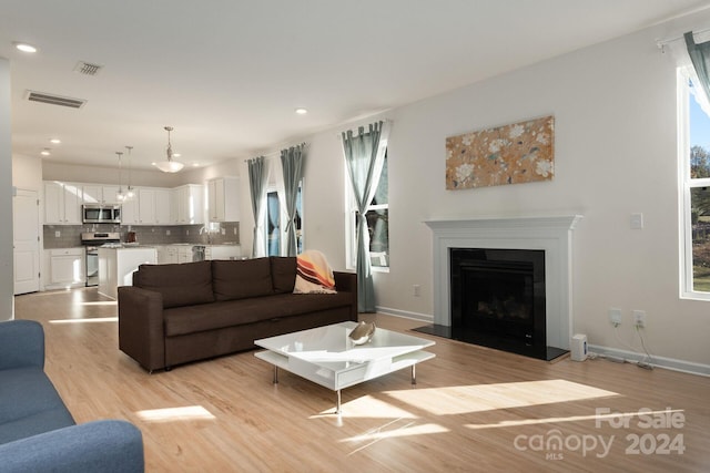 living room with light hardwood / wood-style floors and plenty of natural light