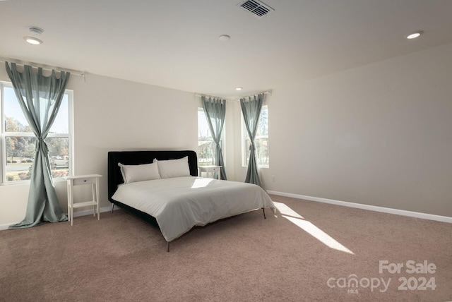 bedroom featuring carpet flooring