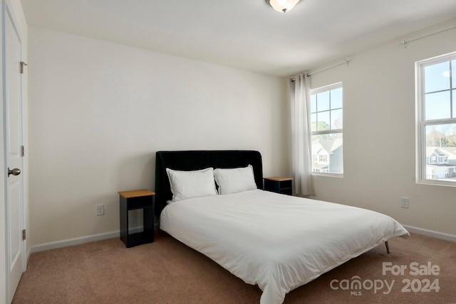 bedroom featuring multiple windows and carpet