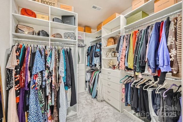 spacious closet with light carpet