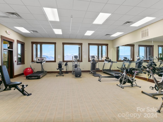 gym with a drop ceiling, a healthy amount of sunlight, and light colored carpet