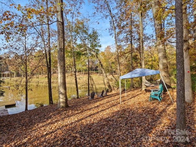 view of yard with a water view